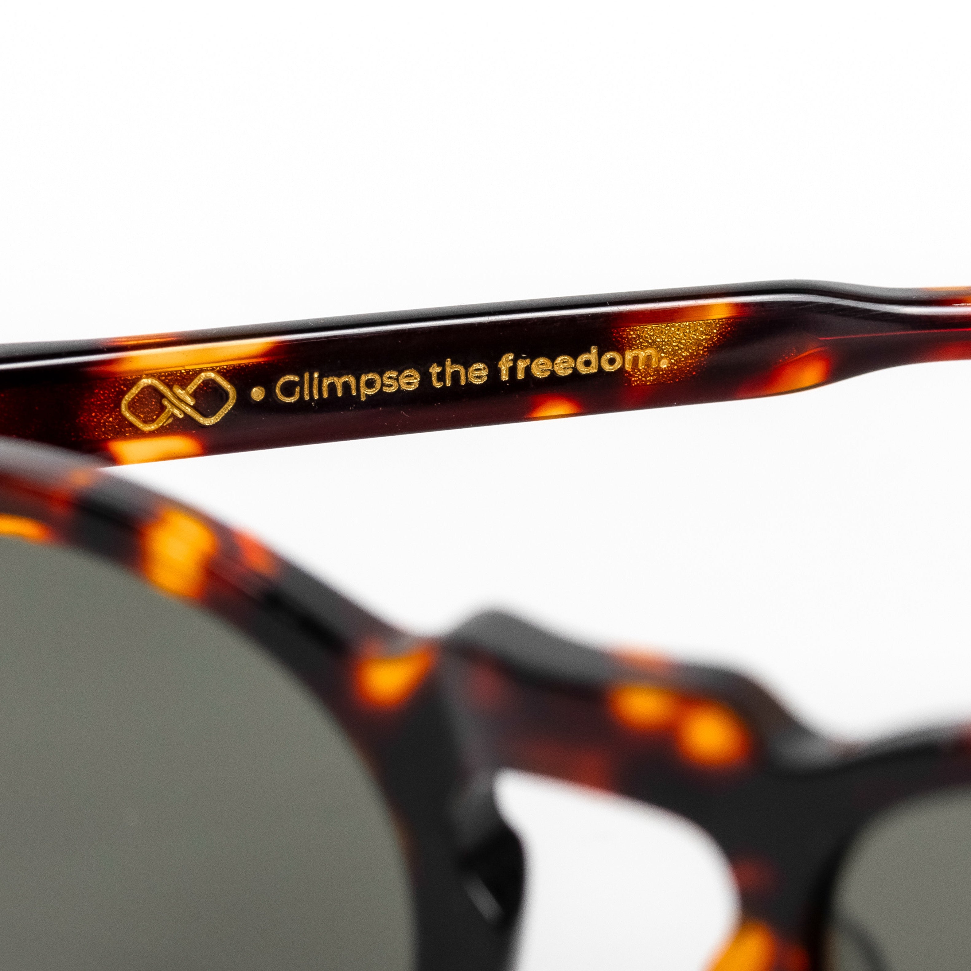 Vessel Tortoise Green - TheighT Sunglasses